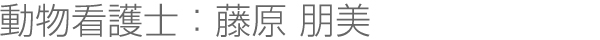 動物看護士：藤原 朋美