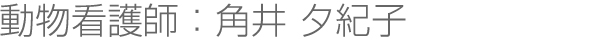 動物看護師：角井 夕紀子